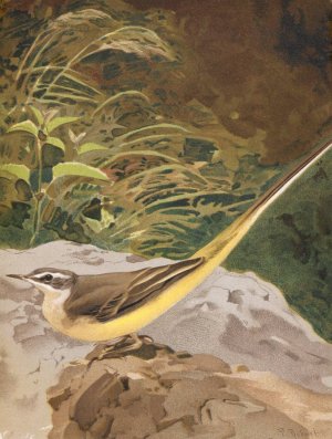 Lavandiere Jaune by Leo-Paul Robert Oil Painting