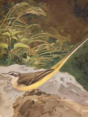 Lavandiere Jaune by Leo-Paul Robert Oil Painting