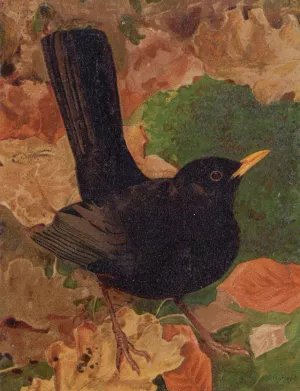 Merle Noir by Leo-Paul Robert Oil Painting