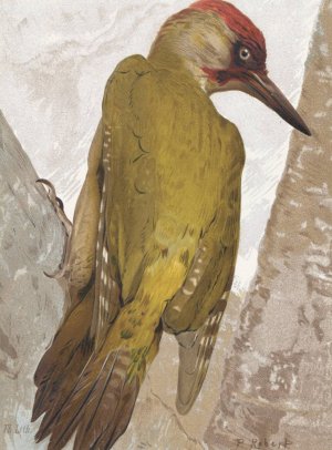 Pic Vert Oil painting by Leo-Paul Robert