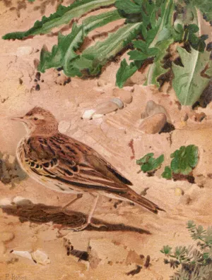 Pitpit Farlouse by Leo-Paul Robert Oil Painting