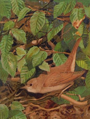 Rossignol by Leo-Paul Robert Oil Painting