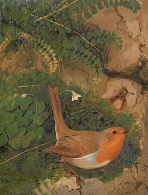 Rouge-Gorge Oil painting by Leo-Paul Robert