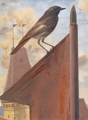 Rouge Queue by Leo-Paul Robert Oil Painting