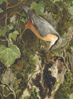 Sitelle Oil painting by Leo-Paul Robert