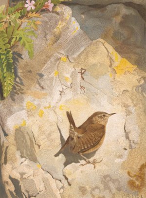 Troglodyte by Leo-Paul Robert Oil Painting