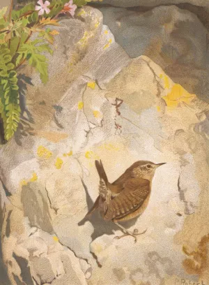 Troglodyte by Leo-Paul Robert Oil Painting