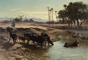 Buffaloes Bathing In The Nile by Leon-Adolphe-Auguste Belly Oil Painting