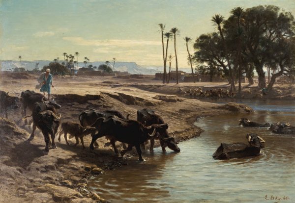 Buffaloes Bathing In The Nile  by Leon-Adolphe-Auguste Belly - Hand-Painted Oil Painting Reproduction
