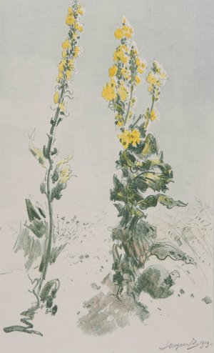 Dziewanny by Leon Wyczolkowski Oil Painting