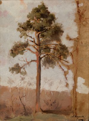 Pines at Polaga by Leon Wyczolkowski Oil Painting