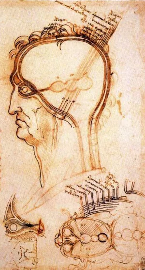 Comparison of Scalp Skin and Onion Oil painting by Leonardo Da Vinci