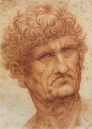 Head of a Man by Leonardo Da Vinci - Oil Painting Reproduction