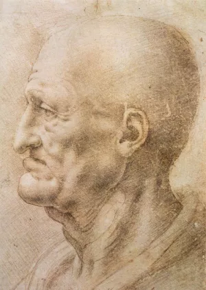 Profile of an Old Man by Leonardo Da Vinci - Oil Painting Reproduction
