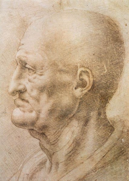 Main Product Photo of Profile of an Old Man Painting by Leonardo Da Vinci
