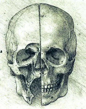 Skull by Leonardo Da Vinci - Oil Painting Reproduction