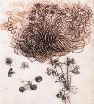 Star of Bethlehem and Other Plants painting by Leonardo Da Vinci