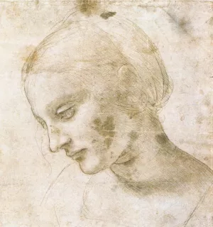 Study of a woman's head by Leonardo Da Vinci Oil Painting