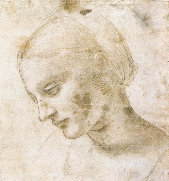 Main Product Photo of Study of a woman's head Painting by Leonardo Da Vinci