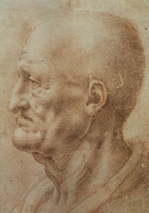 Study of an Old Man's Profile by Leonardo Da Vinci Oil Painting