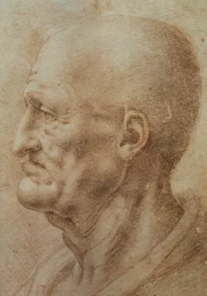 Study of an Old Man's Profile by Leonardo Da Vinci Oil Painting