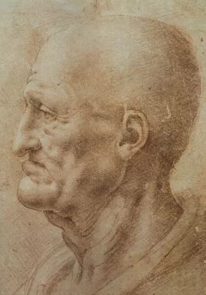 Study of an Old Man's Profile Oil painting by Leonardo Da Vinci
