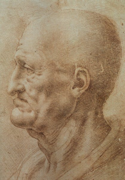 Main Product Photo of Study of an Old Man's Profile Painting by Leonardo Da Vinci