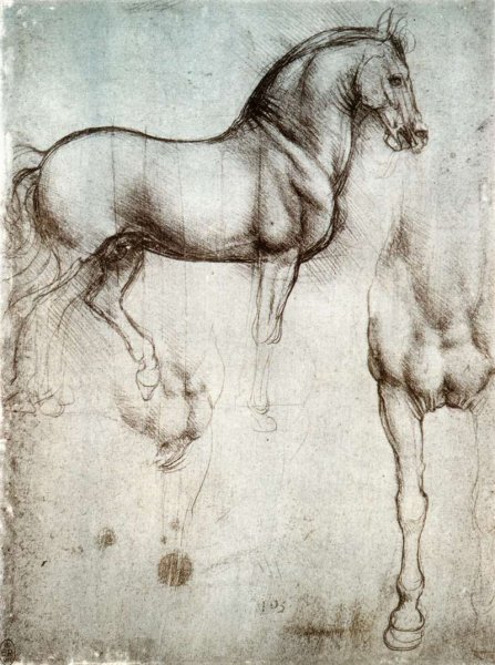 Main Product Photo of Study of Horses Painting by Leonardo Da Vinci