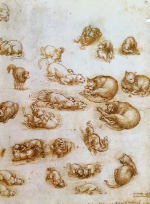 Study Sheet with Cats, Dragon and Other Animals by Leonardo Da Vinci Oil Painting