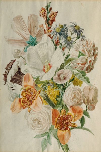 Main Product Photo of Blumenstraus mit Hibiscus und Lilien  Painting by Leopold Von Stoll