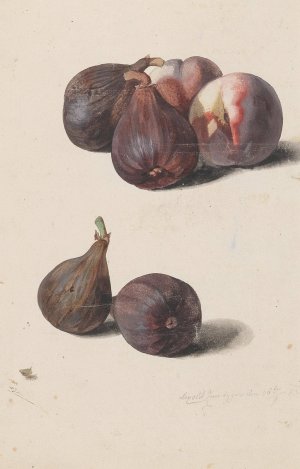 Feigen und Pfirsiche by Leopold Zinnogger Oil Painting