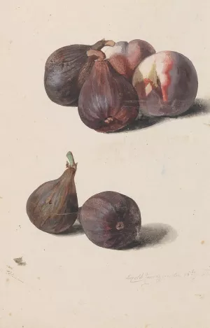Feigen und Pfirsiche by Leopold Zinnogger Oil Painting