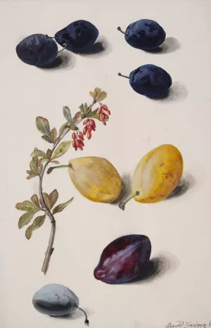 Fruits by Leopold Zinnogger Oil Painting