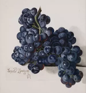 Grapes by Leopold Zinnogger Oil Painting