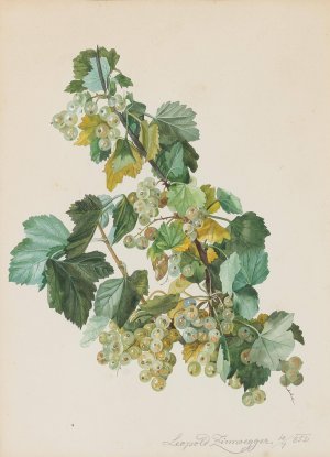 Grune Ribisel by Leopold Zinnogger Oil Painting