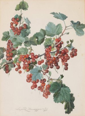 Rote Ribisel by Leopold Zinnogger Oil Painting