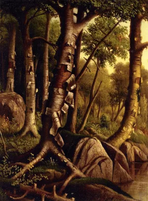 Birch Trees painting by Levi Wells Prentice