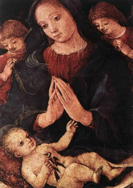 Madonna del Cardellino by Liberale Da Verona - Hand-Painted Oil Painting Reproduction