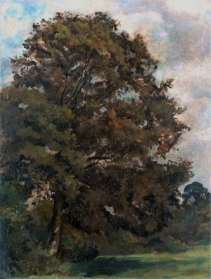 Study of an Ash Tree by Lionel Constable Oil Painting