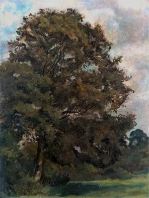 Study of an Ash Tree by Lionel Constable Oil Painting