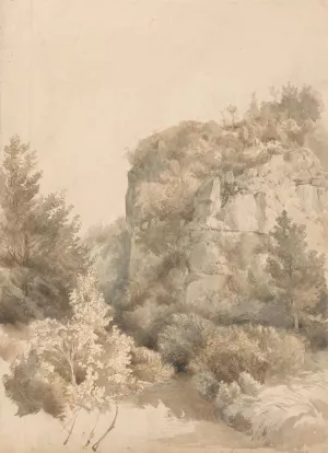 Begroeid dal met een hoge rots en een beek by Lodewijk Johannes Kleijn Oil Painting