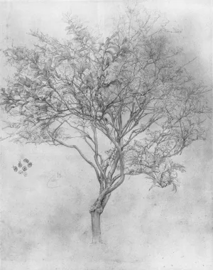 Study of a Lemon Tree by Lord Frederick Leighton Oil Painting