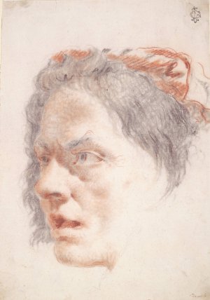 Head of a Woman by Lorenzo Baldissera Tiepolo Oil Painting
