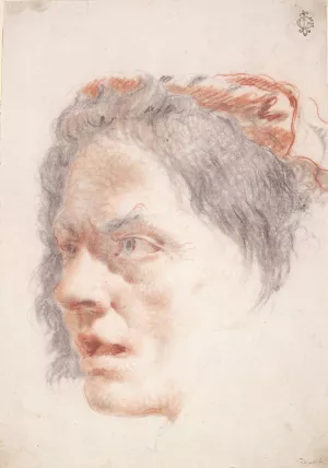 Head of a Woman by Lorenzo Baldissera Tiepolo Oil Painting