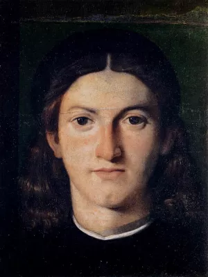 Head of a Young Man Oil painting by Lorenzo Lotto