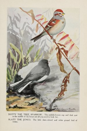 Dotty the Tree Sparrow, Slaty the Junco by Louis Agassiz Fuertes Oil Painting