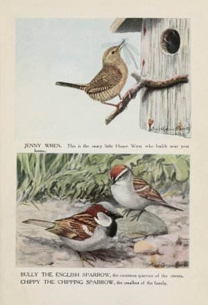 Jenny Wren, Bully the English Sparrow, Chippy the Chipping Sparrow by Louis Agassiz Fuertes Oil Painting