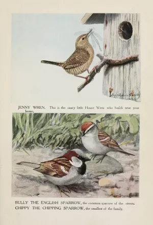 Jenny Wren, Bully the English Sparrow, Chippy the Chipping Sparrow by Louis Agassiz Fuertes Oil Painting