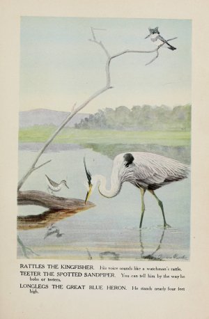 Rattles the Kingfisher, Teeter the Spotted Sandpiper, Longlegs the Great Blue Heron by Louis Agassiz Fuertes Oil Painting