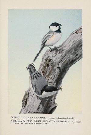 Tommy Tit the Chickadee, Yank-Yank the White-Breasted Nuthatch by Louis Agassiz Fuertes Oil Painting